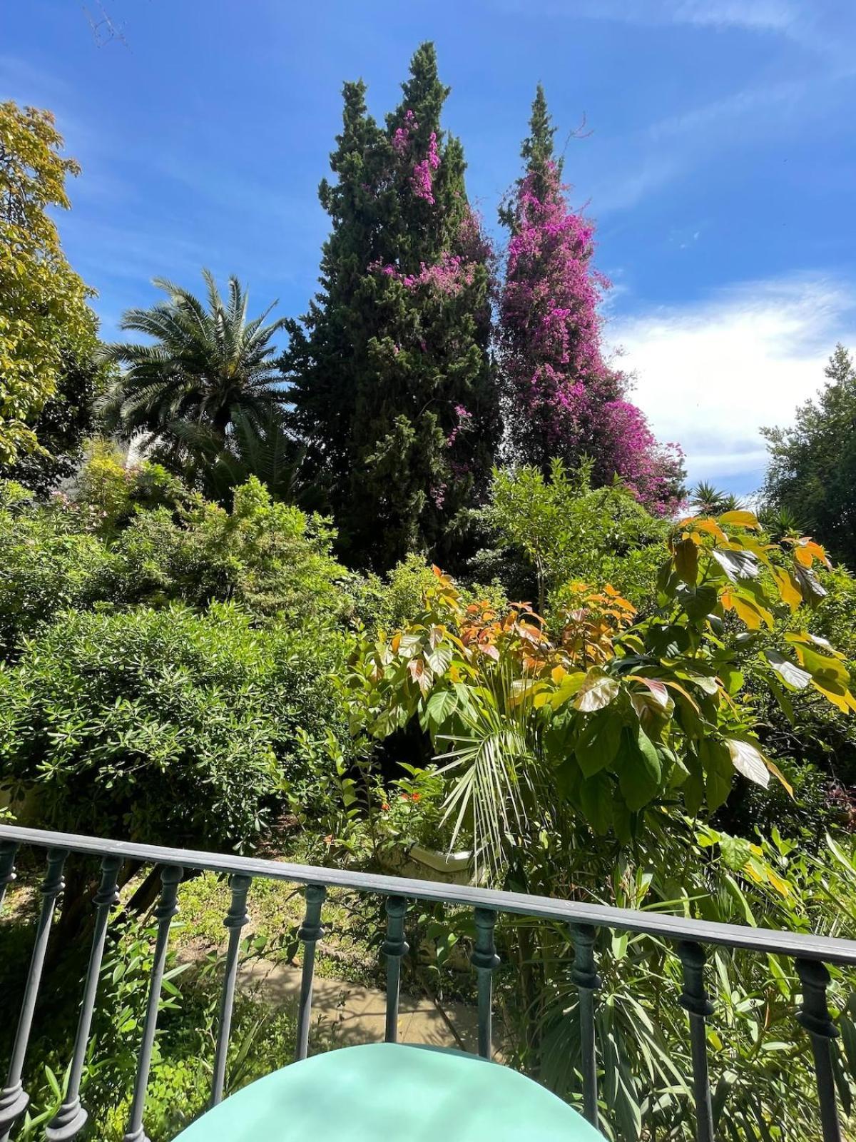 Carre D'or, Superbe Sur Jardin, Elegant Et Ensoleille Appartamento Nizza